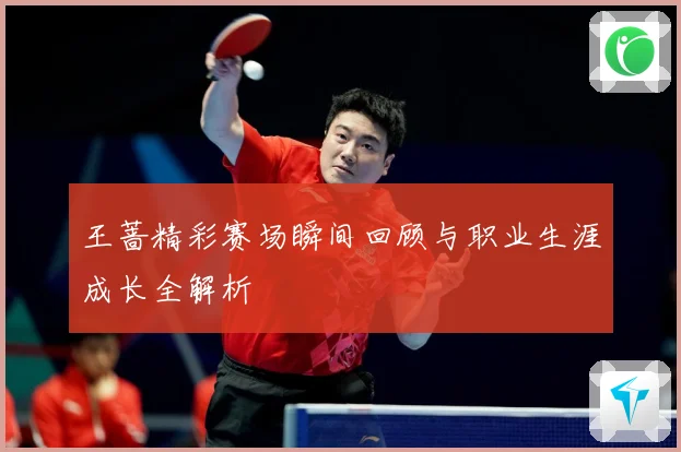 王蔷精彩赛场瞬间回顾与职业生涯成长全解析